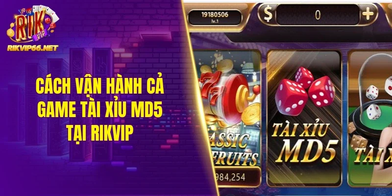 Cách vận hành cả game tài xỉu MD5
